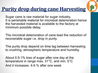 Purity drop during cane Harvesting
Sugar cane is raw material for sugar industry.
It is perishable material for microbial deterioration hence
the harvested material is available to the factory at
minimum possible delay.
The microbial deterioration of cane lead the reduction of
recoverable sugar i.e. drop in purity.
The purity drop depend on time lag between harvesting
to crushing, atmospheric temperature and humidity.
About 0.5-1% loss of sugar after one day at the
temperature in range max. 31°C. and min. 5°C
And it increases 4-5 % after one week
 