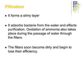 Filtration
 It forms a slimy layer
 It adsorbs bacteria from the water and effects
purification. Oxidation of ammonia also takes
place during the passage of water through
the filters.
 The filters soon become dirty and begin to
lose their efficiency.
 