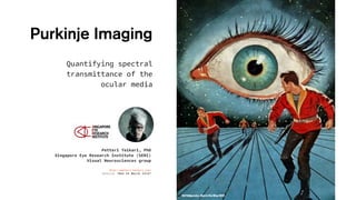 Petteri Teikari, PhD
Singapore Eye Research Institute (SERI)
Visual Neurosciences group
http://petteri-teikari.com/
Version “Wed 28 March 2018“
Purkinje Imaging
Quantifying spectral
transmittance of the
ocular media
 