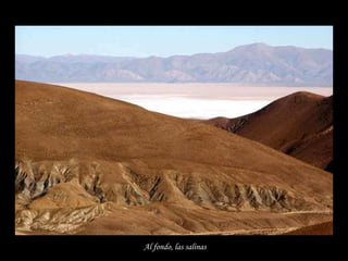 Al fondo, las salinas   