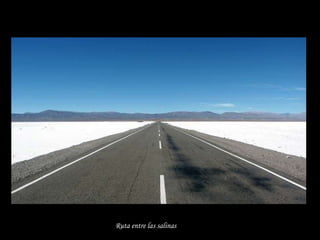 Ruta entre las salinas 