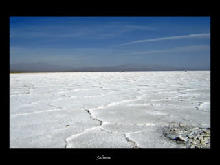Salinas   