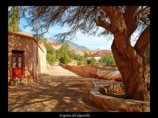 Esquina del algarrobo   