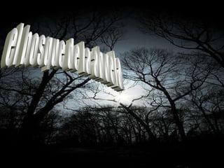 el bosque de la abuela 