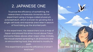 2. JAPANESE ONE
 