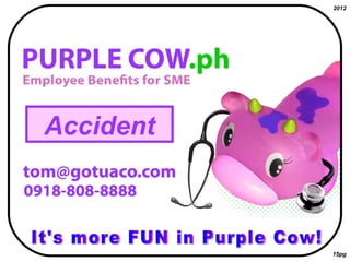 It's more FUN in Purple Cow! 15pg 2012 Accident 