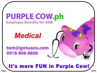 It's more FUN in Purple Cow! Medical (18pg) (2012) 