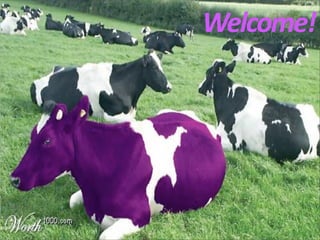 Welcome!
Welcome!
Purple Cows Unite
 