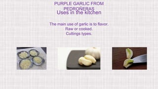 PURPLE GARLIC FROM
PEDROÑERAS
Uses in the kitchen
The main use of garlic is to flavor.
Raw or cooked.
Cuttings types.
 