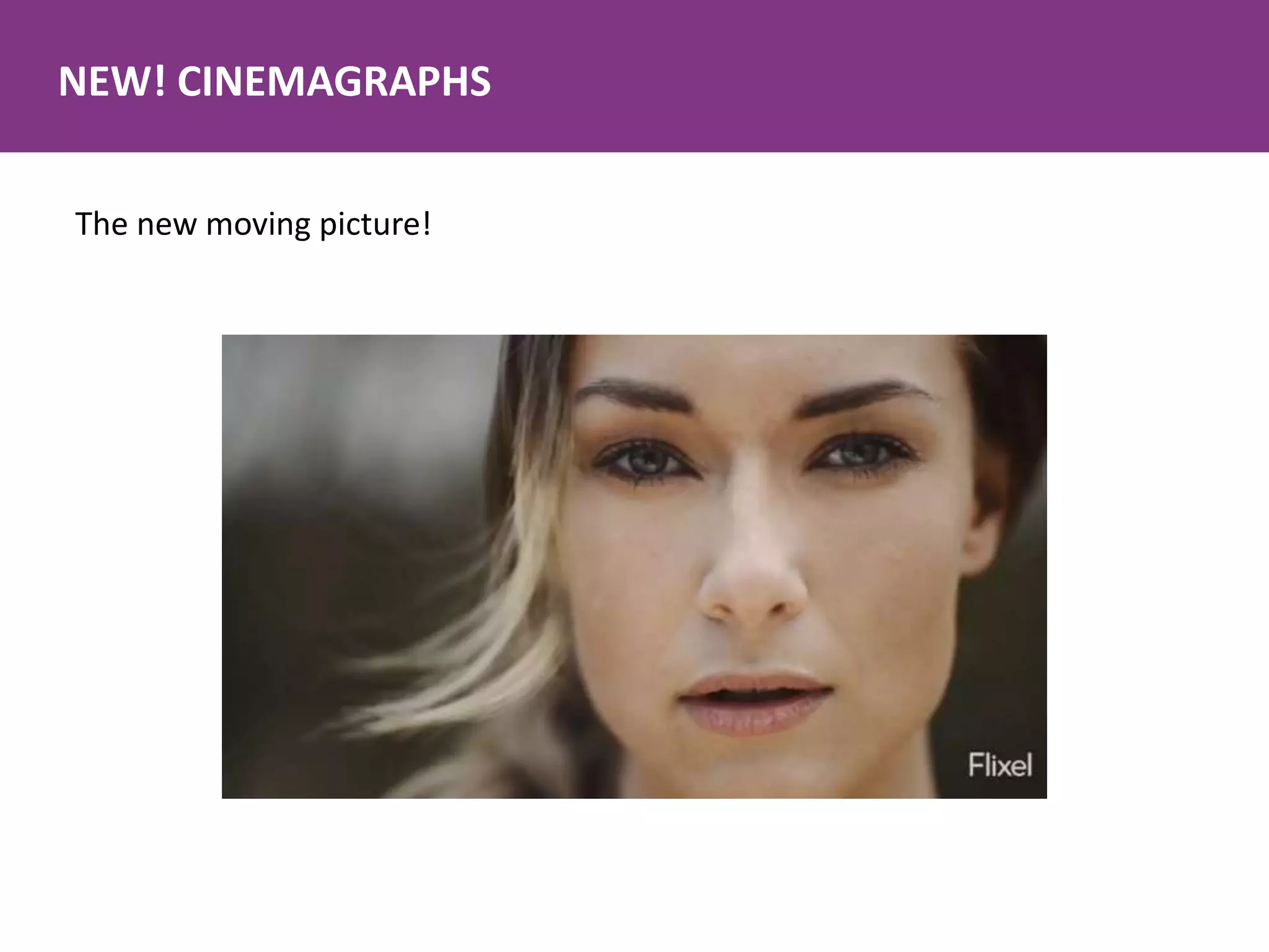 NEW! CINEMAGRAPHS
The new moving picture!
 