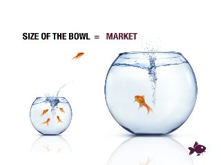 1
SIZE OF THE BOWL
 = MARKET
 