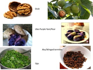 Orah
Ube-Purple Yam/Pear
Aku/Winged termites
Ugu
 