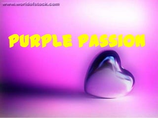 Purple Passion
 