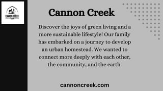 Cannon Creek
Discover the joys of green living and a
more sustainable lifestyle! Our family
has embarked on a journey to develop
an urban homestead. We wanted to
connect more deeply with each other,
the community, and the earth.
cannoncreek.com
 