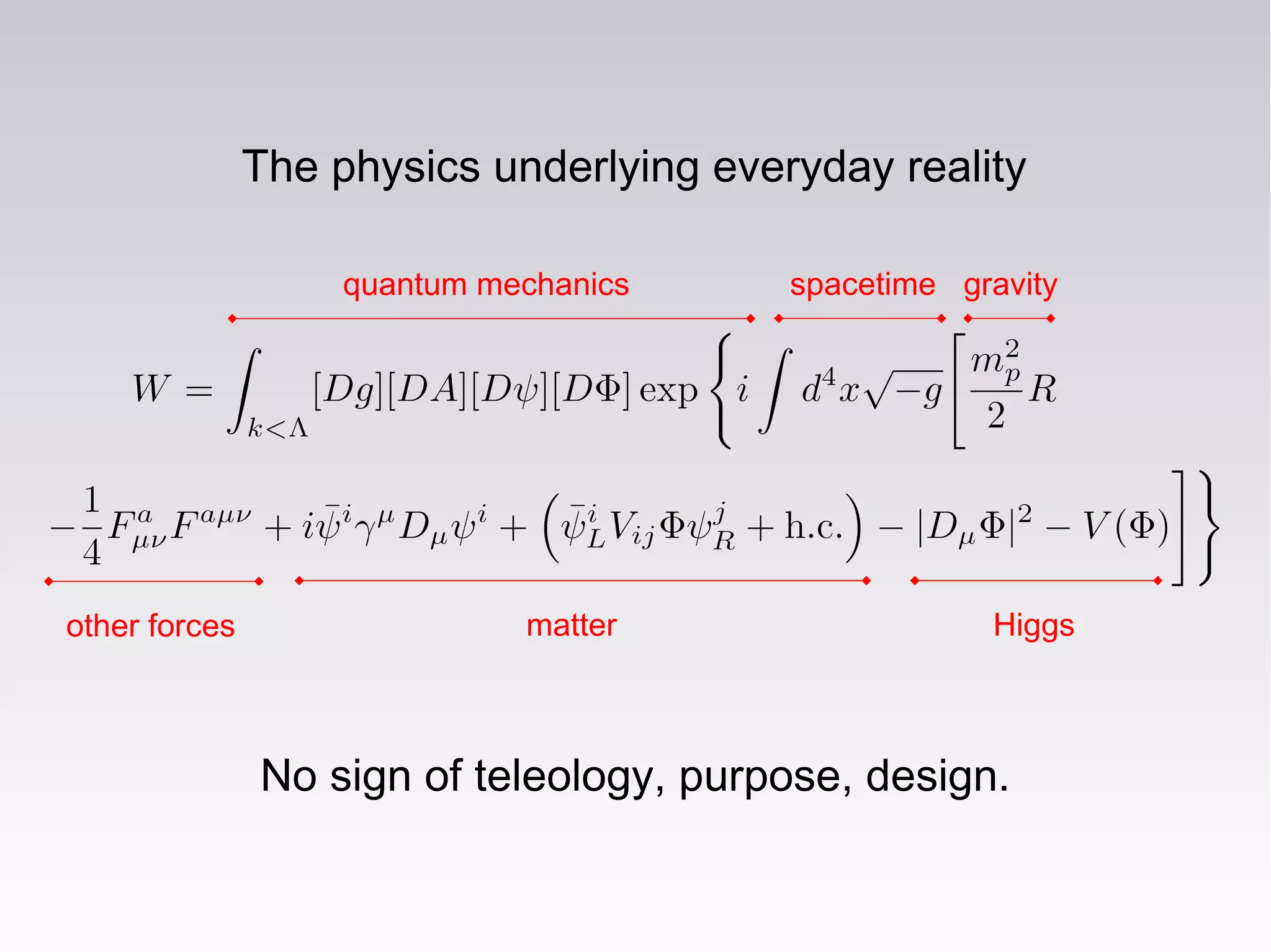 gravity
other forces matter Higgs
quantum mechanics spacetime
The physics underlying everyday reality
No sign of teleology, purpose, design.
 