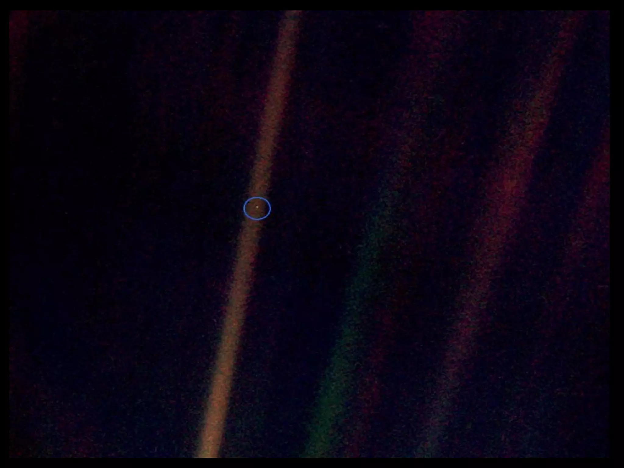 Purpose and the Universe