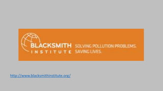 http://www.blacksmithinstitute.org/
 