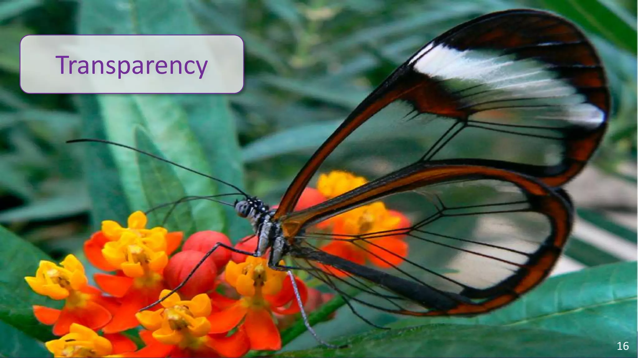 Transparency




                                                                                        16
© 2010 - 2013 Constellation Research, Inc. All rights reserved.   Client Confidential
 