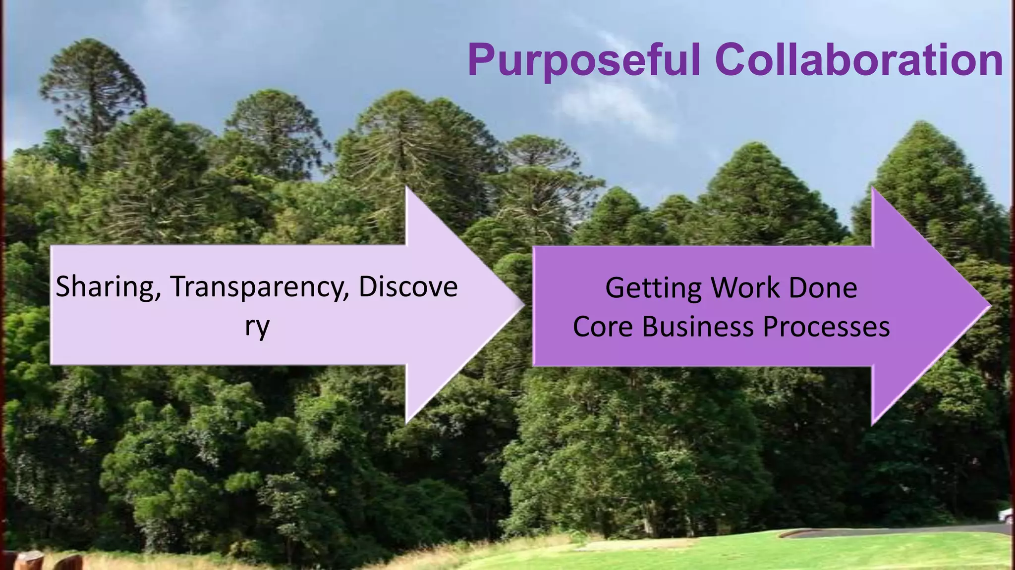 Purposeful Collaboration



        Sharing, Transparency, Discove                                              Getting Work Done
                      ry                                                          Core Business Processes




© 2010 - 2013 Constellation Research, Inc. All rights reserved.    Client Confidential
 