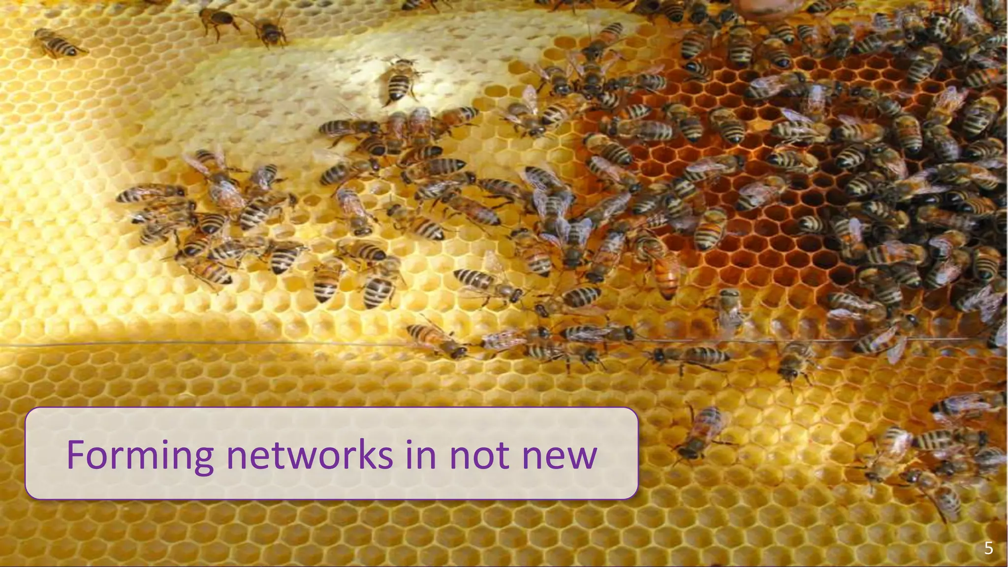 Forming networks in not new
                                                                                        5
© 2010 - 2013 Constellation Research, Inc. All rights reserved.   Client Confidential
 