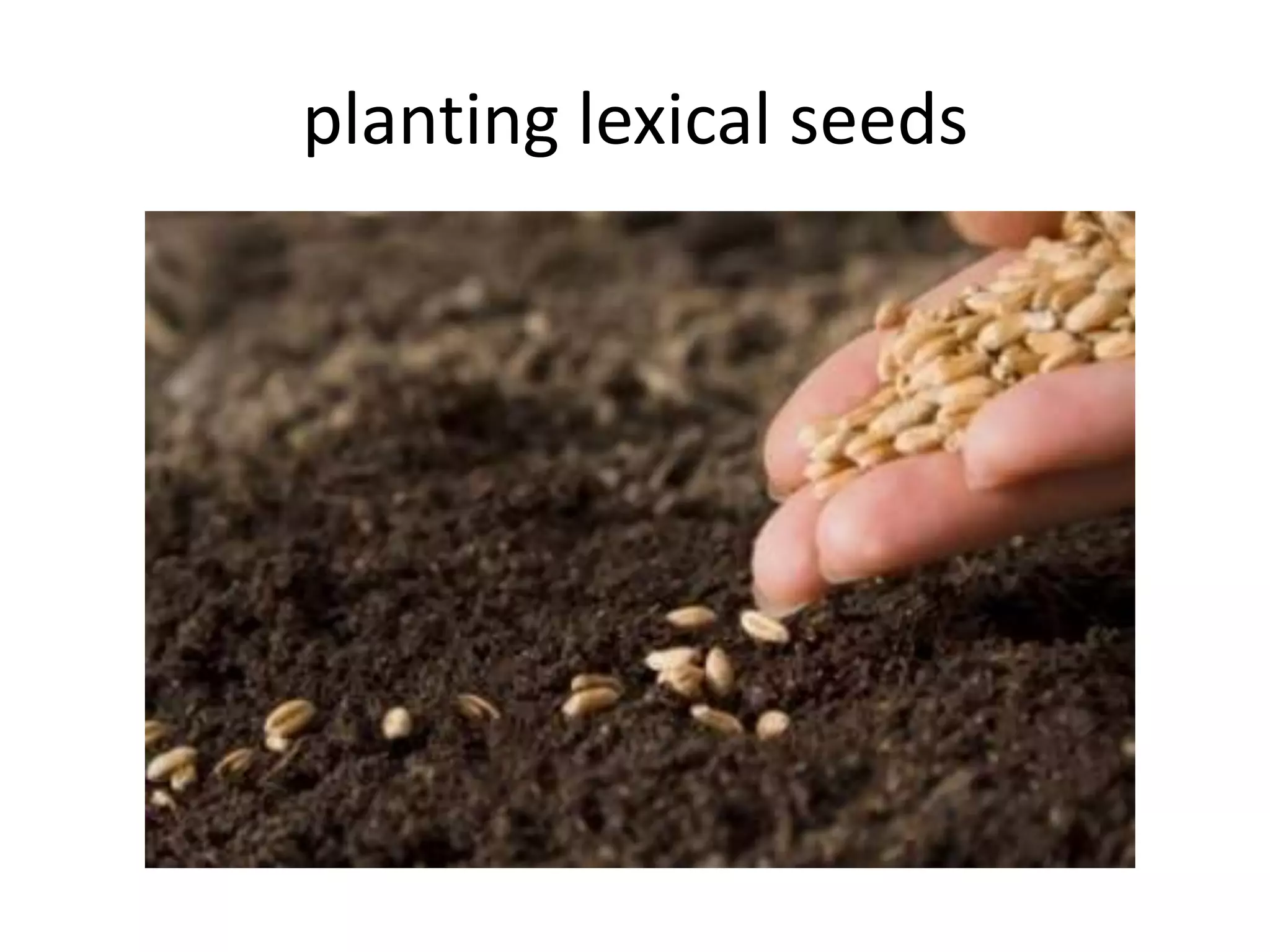 planting lexical seeds
 