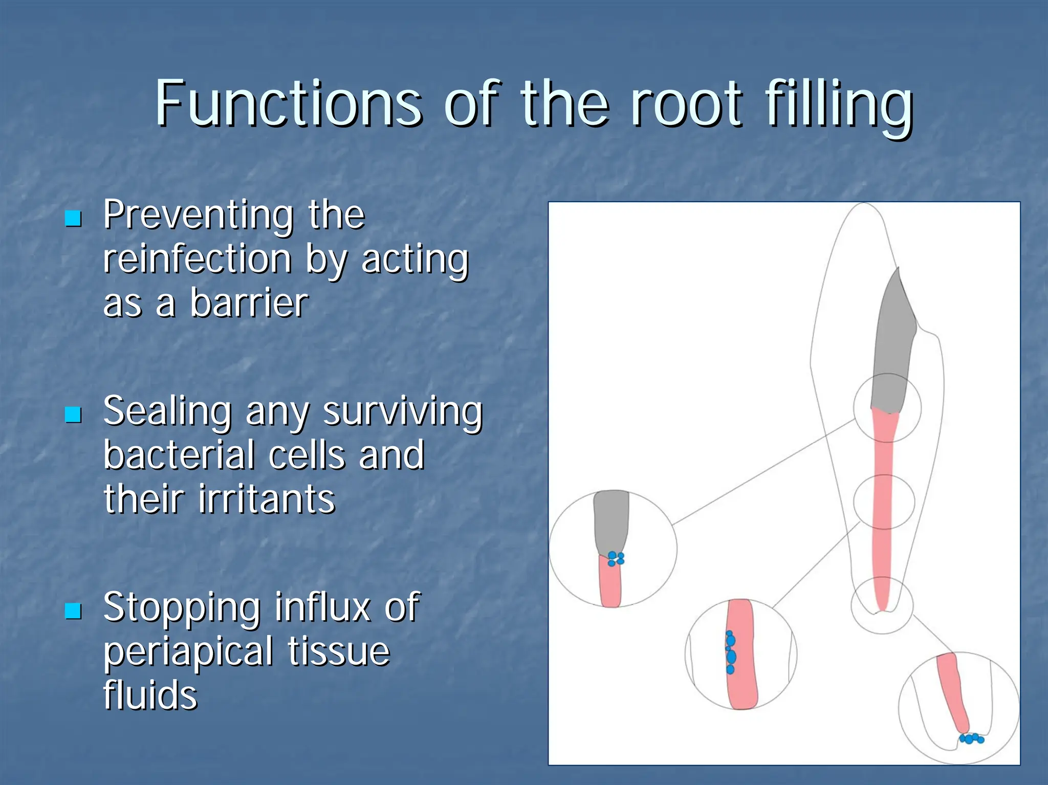 Purpose, rationale, and importance of obturation.pdf