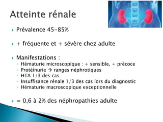 Prévalence 45-85%
 + fréquente et + sévère chez adulte
 Manifestations :
◦ Hématurie microscopique : + sensible, + précoce
◦ Protéinurie  ranges néphrotiques
◦ HTA 1/3 des cas
◦ Insuffisance rénale 1/3 des cas lors du diagnostic
◦ Hématurie macroscopique exceptionnelle
 = 0,6 à 2% des néphropathies adulte
 