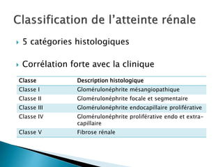  5 catégories histologiques
 Corrélation forte avec la clinique
Classe Description histologique
Classe I Glomérulonéphrite mésangiopathique
Classe II Glomérulonéphrite focale et segmentaire
Classe III Glomérulonéphrite endocapillaire proliférative
Classe IV Glomérulonéphrite proliférative endo et extra-
capillaire
Classe V Fibrose rénale
 