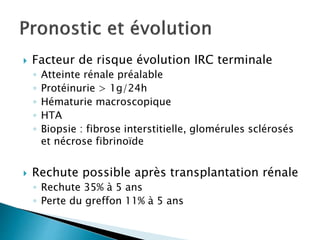  Facteur de risque évolution IRC terminale
◦ Atteinte rénale préalable
◦ Protéinurie > 1g/24h
◦ Hématurie macroscopique
◦ HTA
◦ Biopsie : fibrose interstitielle, glomérules sclérosés
et nécrose fibrinoïde
 Rechute possible après transplantation rénale
◦ Rechute 35% à 5 ans
◦ Perte du greffon 11% à 5 ans
 