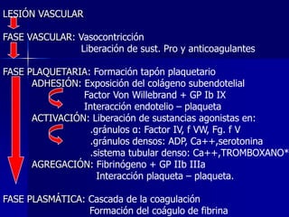 LESIÓN VASCULAR

FASE VASCULAR: Vasocontricción
               Liberación de sust. Pro y anticoagulantes

FASE PLAQUETARIA...