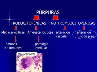 PÚRPURAS

      TROBOCITOPÉNICAS                NO TROMBOCITOPÉNICAS

Megacariocíticas Amegacariocíticas alteración    alteración
                                   vascular      función plaq.

 Inmunes                  patología
 No inmunes               medular
          MEGACARIOCITO
 