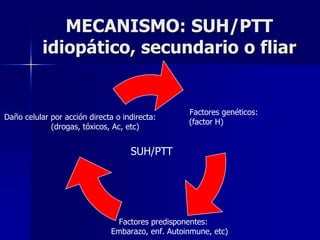 MECANISMO: SUH/PTT
           idiopático, secundario o fliar


                                                  Factores genéticos:
Daño celular por acción directa o indirecta:
                                                  (factor H)
             (drogas, tóxicos, Ac, etc)


                                    SUH/PTT




                               Factores predisponentes:
                              Embarazo, enf. Autoinmune, etc)
 