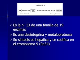  Es la n 13 de una familia de 19
  enzimas
 Es una desintegrina y metaloproteasa

 Su síntesis es hepática y se codifica en
  el cromosoma 9 (9q34)
 