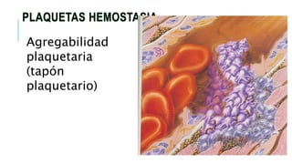 1.- AUMENTO DE
DESTRUCCION
(Inmunes):
a) LES
b) Brucella
c) Medicamentos d) PTI
2.-PRODUCCION
INSUFICIENTE:
a) Aplasia
b) ...
