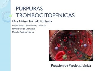 PURPURAS
   TROMBOCITOPENICAS
Dra. Fátima Estrada Pacheco
Departamento de Medicina y Nutrición
Universidad de Guanajuato
Modulo Medicina Interna




                                       Rotación de Patología clínica
 
