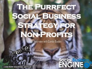 The Purrfect
Social Business
Strategy for
Non-Profits
An Interview with Carole Baskin
1
 