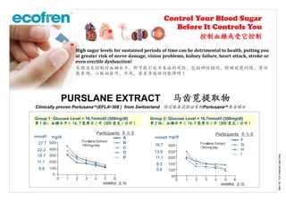 Control Your Blood Sugar
Before It Controls You
控制血糖或受它控制
PURSLANE EXTRACT 马齿苋提取物
High sugar levels for sustained periods of time can be detrimental to health, putting you
at greater risk of nerve damage, vision problems, kidney failure, heart attack, stroke or
even erectile dysfunction!
长期没有控制好血糖水平，即可能引起并发症的风险，包括神经损伤，眼睛视觉问题，肾功
能衰竭，心脏病發作，中风，甚至导致性功能障碍 !
Clinically proven PortusanaTM(EFLA®308 ) from Switzerland 经过临床试验证实的PortusanaTM来自瑞士
Group 1: Glucose Level > 16.7mmol/l (300mg/dl)
第 1 组：血糖水平 > 16.7 毫摩尔 / 升 (300 毫克 / 分升 )
27.7
22.2
16.7
11.1
5.6
mmol/l mg/dl
16.7
13.9
11.1
8.3
5.6
mmol/l mg/dl
Group 2: Glucose Level < 16.7mmol/l (300mg/dl)
第 2 组：血糖水平 < 16.7 毫摩尔 / 升 (300 毫克 / 分升 )
Participants 参与者
星期 星期
Participants 参与者
Rev00ForInternalUseOnly
 