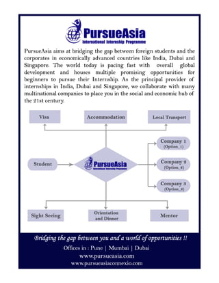 PursueAsia Infograph