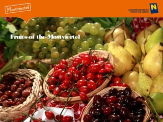 Fruits of the Mostviertel

 
