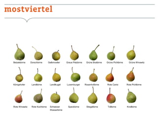 Betzelsbirne

Dorschbirne

Gelbmostler

Königshofer

Landlbirne

Landlkugel

Rote Winawitz

Rote Kochbirne

Schweizer
Wasserbirne

Graue Pelzbirne

Grüne Bratbirne

Luxemburger

Rosenhofbirne

Speckbirne

Stiegelbirne

Grüne Pichlbirne

Grüne Winawitz

Rote Carisi

Rote Pichlbirne

Tollbirne

Knollbirne

 