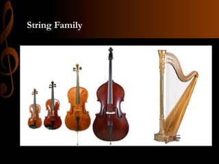 String Family

 