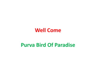 Well Come
Purva Bird Of Paradise
 