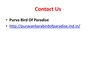 Contact Us
• Purva Bird Of Paradise
• http://puravankarabirdofparadise.ind.in/
 
