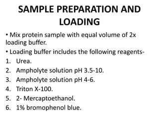 SAMPLE PREPARATION AND
LOADING
• Mix protein sample with equal volume of 2x
loading buffer.
• Loading buffer includes the following reagents-
1. Urea.
2. Ampholyte solution pH 3.5-10.
3. Ampholyte solution pH 4-6.
4. Triton X-100.
5. 2- Mercaptoethanol.
6. 1% bromophenol blue.
 