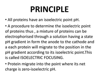PRINCIPLE
• All proteins have an isoelectric point pH.
• A procedure to determine the isoelectric point
of proteins thus , a mixture of proteins can be
electrophorised through a solution having a state
pH gradient in form the anode to the cathode and
a each protein will migrate to the position in the
pH gradient according to its isoelectric point.This
is called ISOELECTRIC FOCUSING.
• Protein migrate into the point where its net
charge is zero-isoelectric pH.
 