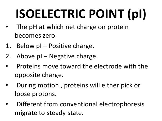 slide share ppt
