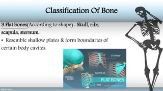 Purvi shah anatomy of bone ppt | PPTX