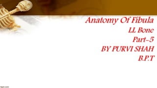 Anatomy Of Fibula
LL Bone
Part-5
BY PURVI SHAH
B.P.T
 