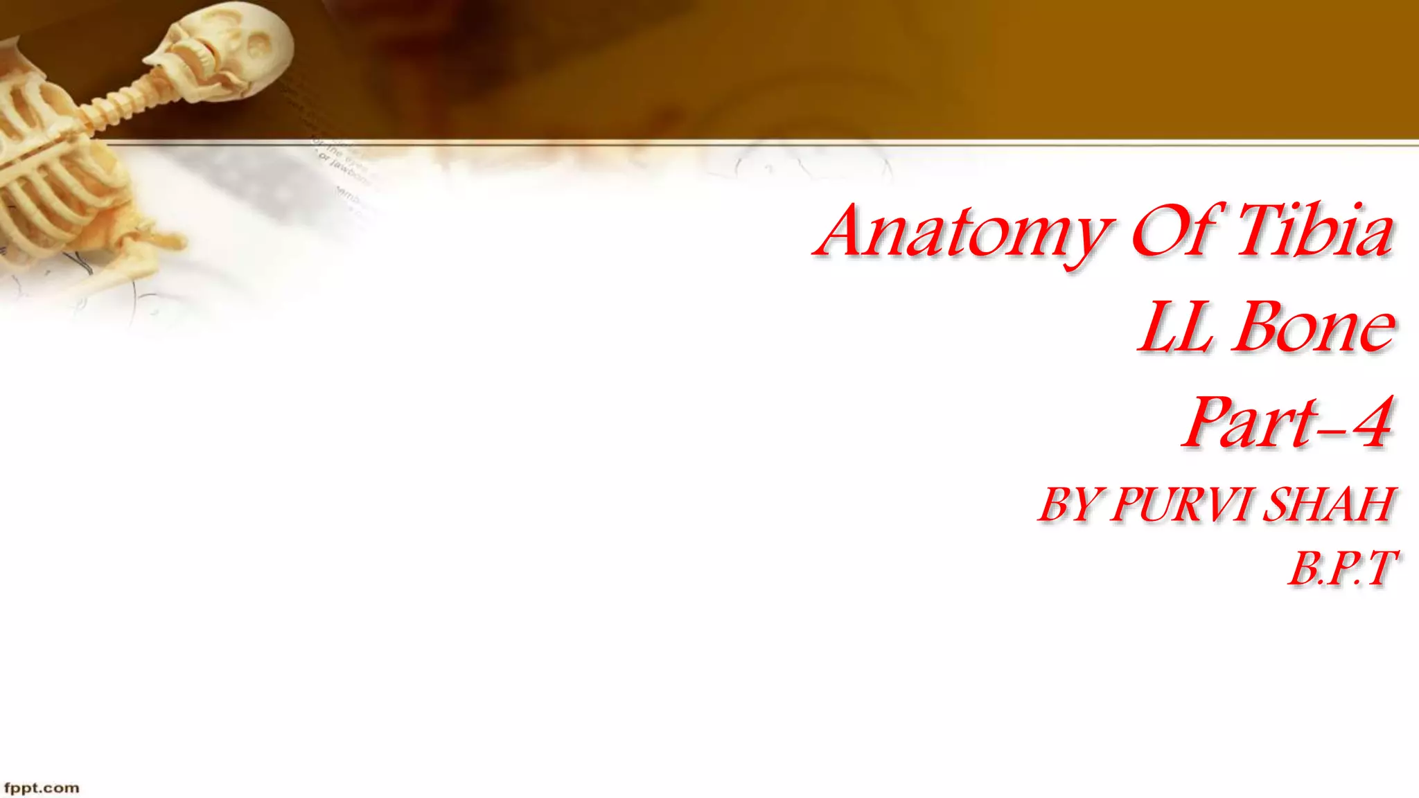 Purvi shah anatomy of tibia ppt