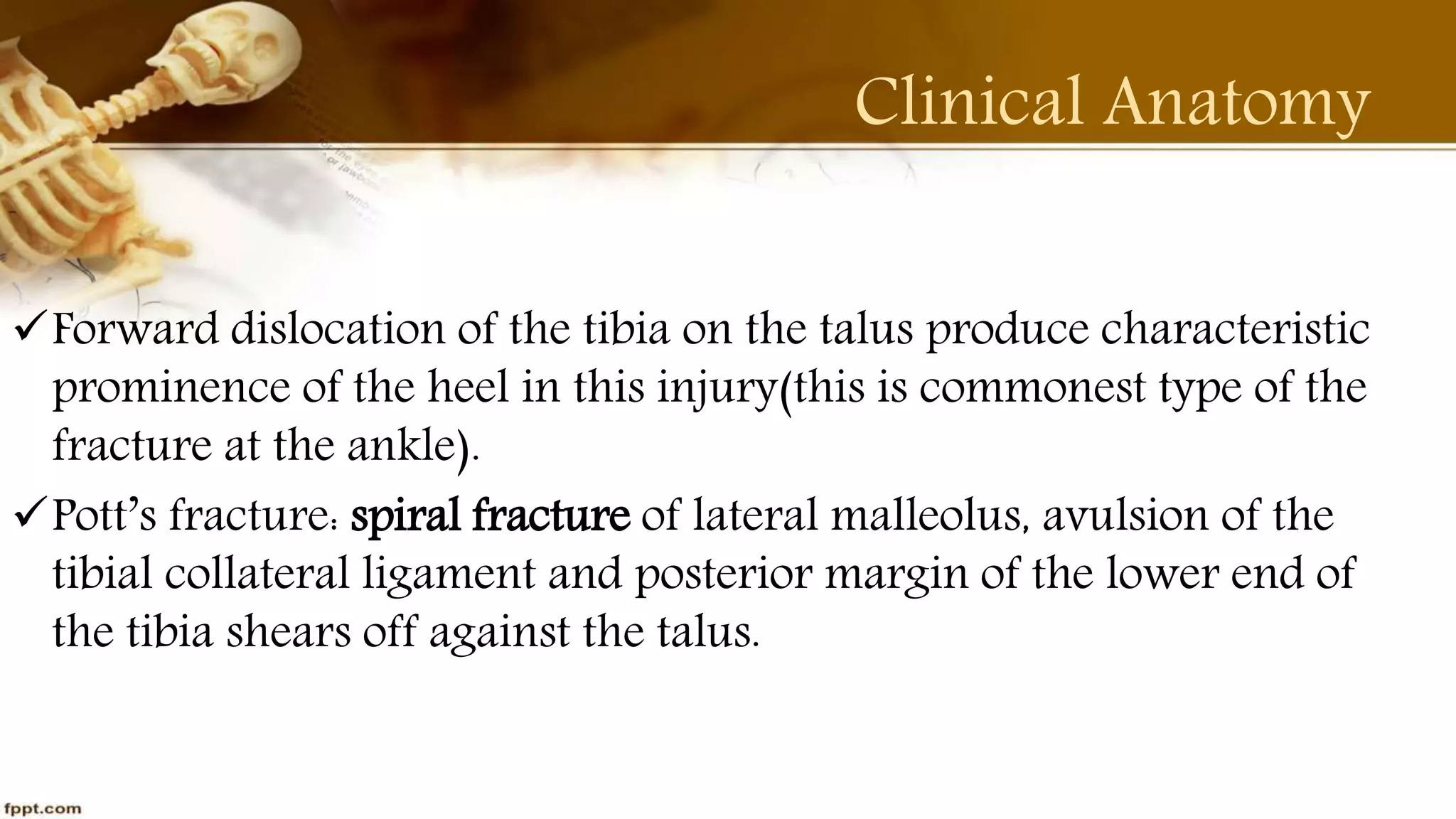 Purvi shah anatomy of tibia ppt